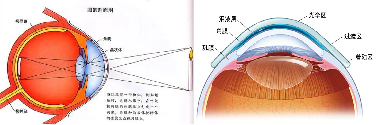 成像圖+光學區(qū)圖.png
